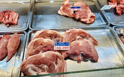 Giá heo hơi hôm nay 16.12.2025: 'Nhảy vọt', vì sao?