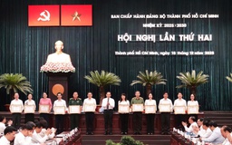 TP.HCM khen thưởng tập thể, cá nhân xuất sắc trong tổ chức Đại hội Đảng bộ