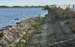 Tiểu dự án 8 ICRSL tại Cà Mau hoàn thành nhưng nợ đọng hơn 18,5 tỉ đồng