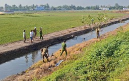 Đồng Tháp: Khống chế người đàn ông đập phá tài sản công trình thi công nút giao cao tốc