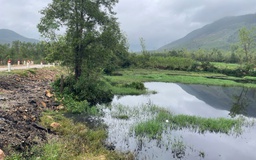 Nước thải bãi rác chảy tràn ra suối, người dân lo ngại ô nhiễm