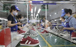 Hai cá nhân chi gần 1.400 tỉ đồng mua cổ phiếu Giầy Thượng Đình