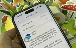 Trì hoãn bản cập nhật sau bao lâu là ổn với smartphone?