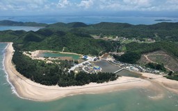 Cái Chiên vươn mình từ du lịch đảo