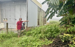 Vụ trúng đấu giá nhưng 18 năm không thấy đất: Những người liên quan nói gì?