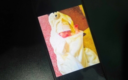 TP.HCM: Bé gái nặng 2,5 kg bị bỏ rơi tại chùa Kỳ Quang 2