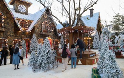 Khám phá Làng Tuyết mùa đông giữa phố núi Đà Lạt