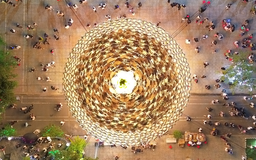 Cây thông nón lá khổng lồ ở nhà thờ Đồng Nai thành điểm check-in Giáng sinh 2025