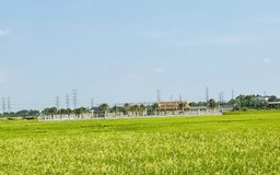 Sở Nông nghiệp - Môi trường lý giải vì sao giá đất nông nghiệp thấp