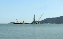 Cà Mau chuyển đổi 9,85 ha rừng phòng hộ làm đường ra đảo Hòn Khoai