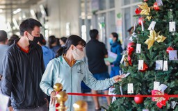 Giáng sinh 2025: Trên cây thông Noel này, mỗi tấm thiệp là một mong ước nhỏ