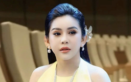 Bình Tinh gửi đơn đến công an vụ bị tố xúc phạm NSƯT Vũ Linh