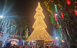 Cây thông nón lá ở Đồng Nai sáng đèn, mỗi đêm đón hàng ngàn người chiêm ngưỡng