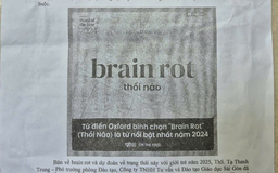 Hội chứng 'thối não' vào đề kiểm tra cuối kỳ môn văn