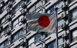 Nhật Bản rót hơn 6 tỉ USD phát triển AI nội địa