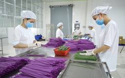 Công ty thực phẩm Hùng Hậu đạt chứng nhận Doanh nghiệp Xanh TP.HCM 2025