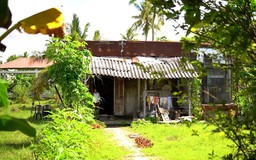 U60 đơn thân sống nơm nớp trong căn nhà chờ sập
