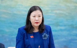 Cử tri bức xúc vì bỗng dưng thành giám đốc, bị cấm xuất cảnh