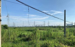 TP.HCM sẽ điều chỉnh tăng giá đất nông nghiệp