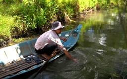 Cụ bà mò cua bắt ốc với căn nhà tre hơn hai thập kỷ