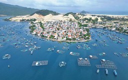 Khánh Hòa: Đánh thức 'viên ngọc' kinh tế biển và nông nghiệp công nghệ cao