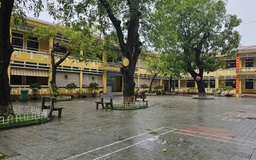 TP.Huế: Một số học sinh nôn ói sau bữa ăn bán trú, nhà trường lên tiếng