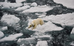 Năm 2026: 'Bình thường mới' của khí hậu toàn cầu