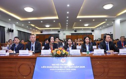 Một loạt CLB bị chấm dứt tư cách thành viên VFF, bãi nhiệm cựu lãnh đạo đội Thanh Hóa