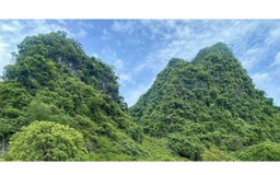 Hoàng Đình Kinh - thủ lĩnh Tày kiên cường