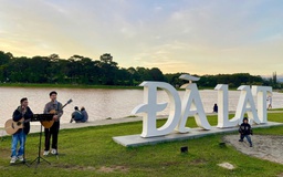 Vi vu tết Dương lịch