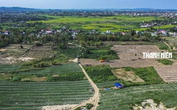 Đấu thầu chọn nhà đầu tư dự án khu đô thị 650 tỉ đồng ở Quảng Ngãi