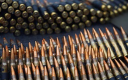 20.000 viên đạn của quân đội Đức bị lấy cắp
