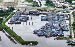 Quảng Ngãi hỗ trợ 20 tỉ đồng cho các chủ tàu cá chuyển đổi nghề