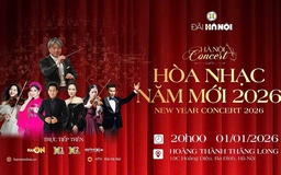 Vui chơi - giải trí đầu năm mới