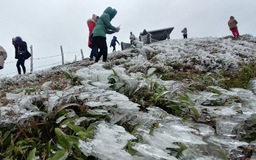 15 tỉnh, thành phải ứng phó không khí lạnh gây rét đậm, rét hại