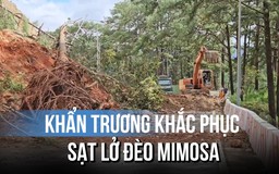 Nỗ lực khắc phục xong sạt lở đèo Mimosa trong ngày 4.12