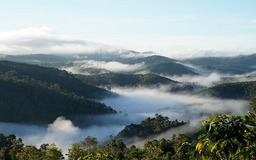 Cá nục kho măng ở Kon Tum: Cuộc gặp gỡ giữa núi đại ngàn và hơi thở biển khơi