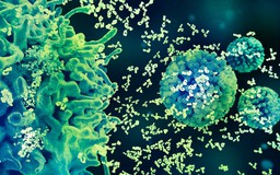 Bộ ba bảo vệ khỏi HPV: Tiêm chủng, xét nghiệm tầm soát, theo dõi kịp thời