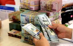 Ngân hàng Nhà nước sẽ hỗ trợ thanh khoản, ổn định tỷ giá