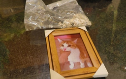 Hỏa táng thú cưng: Ngày đầu vào Bình Hưng Hòa 'hơi sợ sợ'