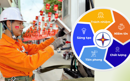 5 giá trị ‘vàng’ trên hành chuyển mình của EVNNPC