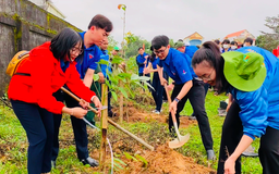 Chi hơn 15.200 tỉ đồng trồng 1,4 tỉ cây xanh khắp Việt Nam