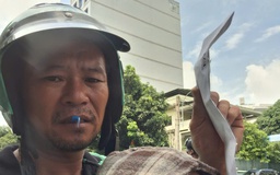 TP.HCM: Người cha 'cầu cứu', làm rõ cái chết của con gái trong vụ tai nạn