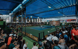 Pickleball D-Joy Vietnam Masters - Petrolimex Cup: Đỉnh cao Pickleball Việt Nam