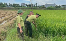 Cấp tốc tháo gỡ hàng trăm mét bẫy lưới các loài chim hoang dã ở TP.HCM