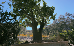 Định vị trà Việt trên bản đồ thế giới