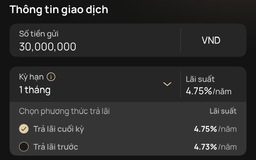 Ngân hàng lớn tham gia 'cuộc đua' lãi suất tiết kiệm