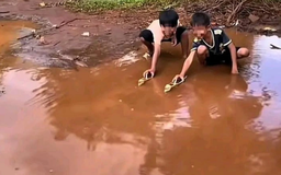 Từ vụ học sinh chết đuối do bắt chước trò chơi 'ghe bobo' trên TikTok