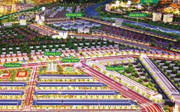 TP.HCM: Vì sao kiểm tra việc phân lô, bán nền ở Bình Dương cũ?