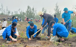 Thanh niên Hà Tĩnh phủ xanh lại rừng phòng hộ sau bão lũ
